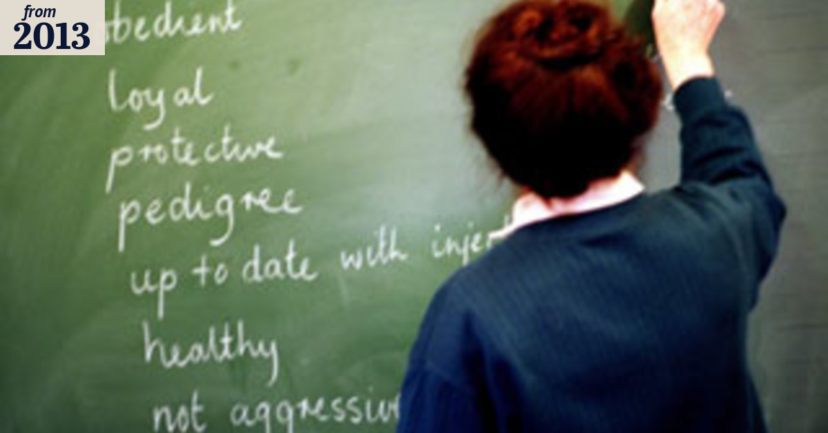 Do grammar and spelling matter?
