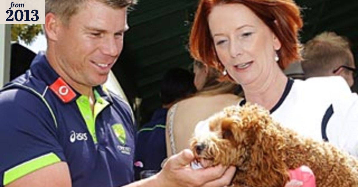 Pup takes centre stage as first dog steals show