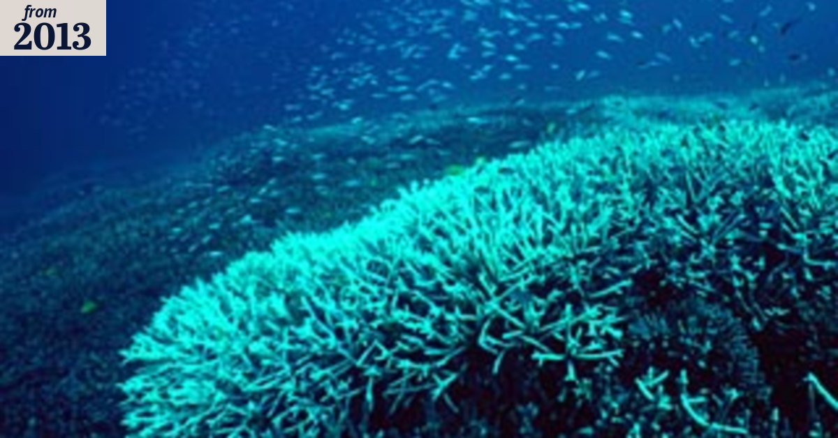 US Navy set to recover bombs on Barrier Reef