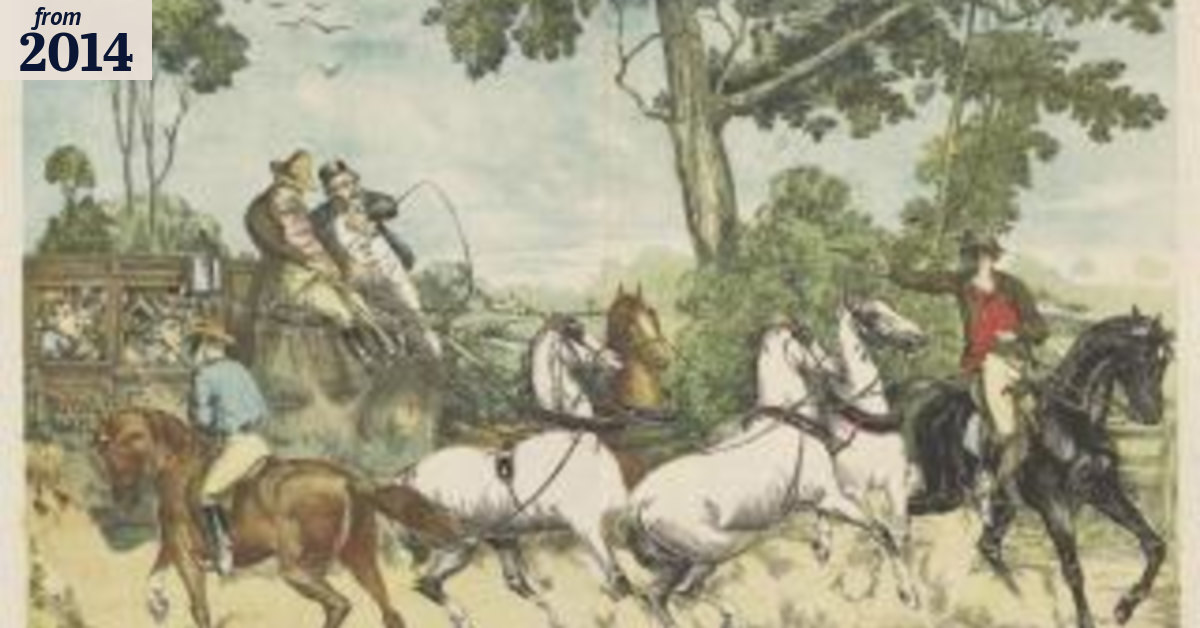 How Australia rode through history on the horse's back