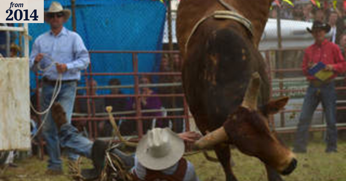 Thrills and Spills From The Lang Lang Rodeo