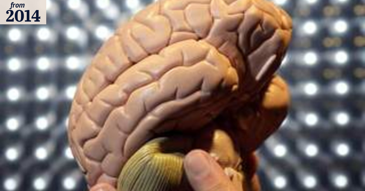 Call to join bionic brain race