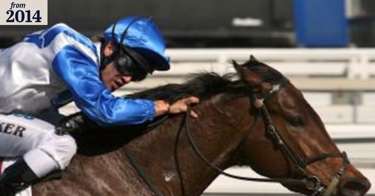 Trainer Sam Kavanagh happy after a solid start in Sydney pressure-cooker