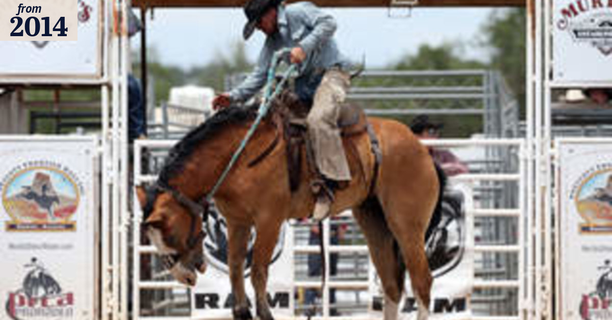 Picture Editor's Choice, July 6, 2014