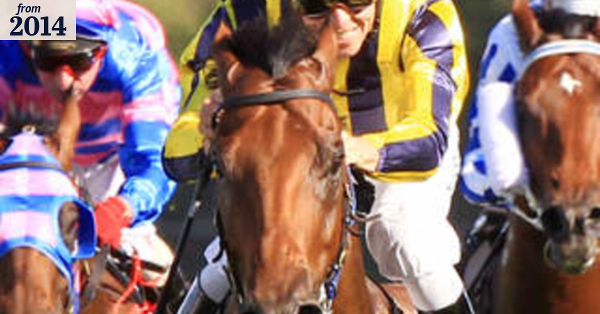Jason Warren targets Oakleigh Plate redemption with Bel Sprinter