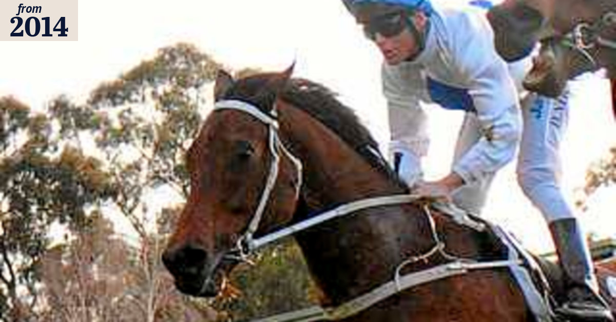 Racing Victoria drops Smoking Aces probe linked to Samba murder