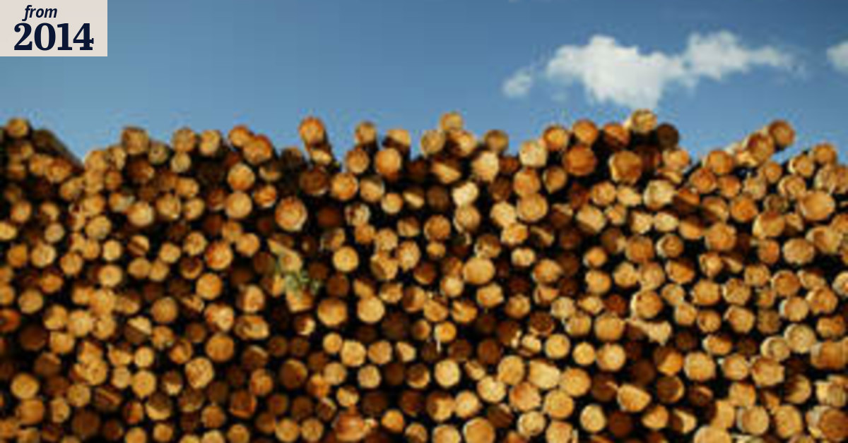 Timbercorp liquidator to pursue investors' loan repayments