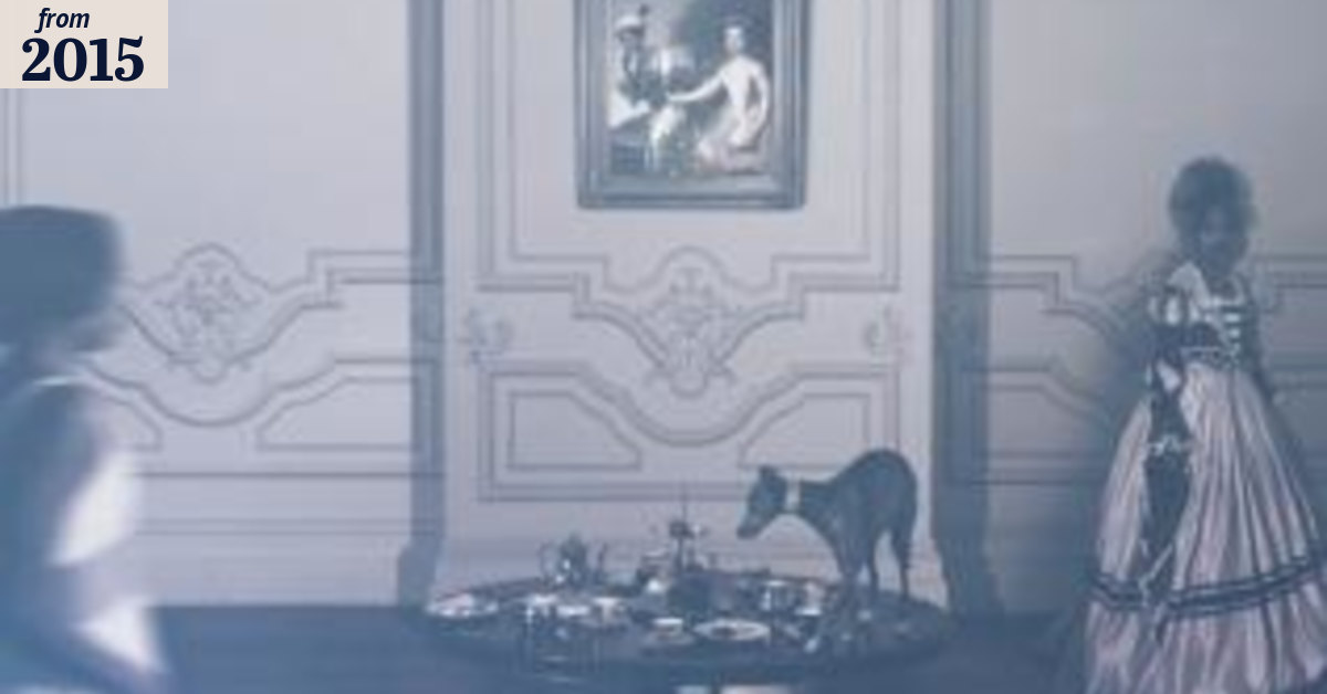 Photographer Michael Cook's Object exhibition delivers delicate role ...