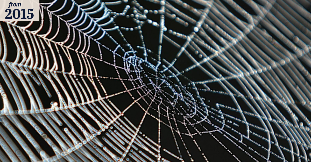 Ask Fuzzy: Why don’t spiders stick to their web?
