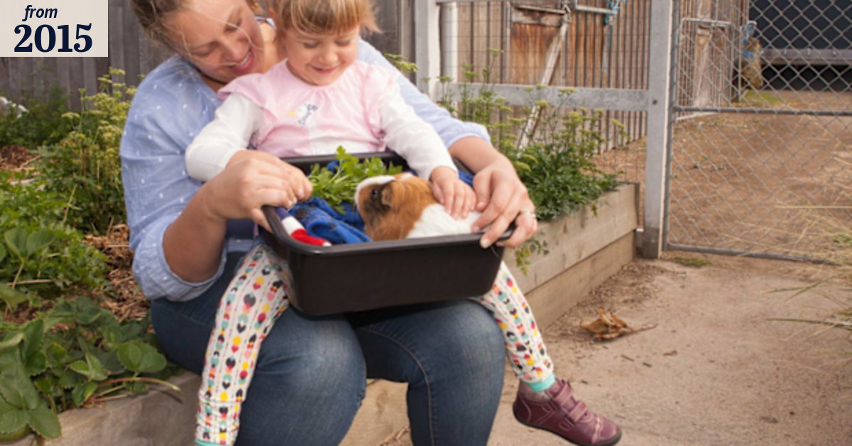 RSPCA works with schools to reduce animal cruelty ... by improving ...