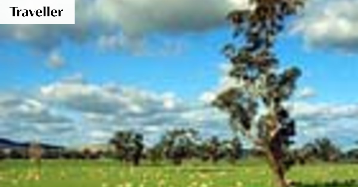 Dunedoo - Places to See