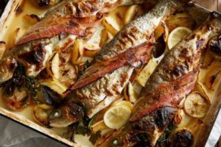 Cider-roasted rainbow trout with kaiserfleisch, apple, fennel and lemon