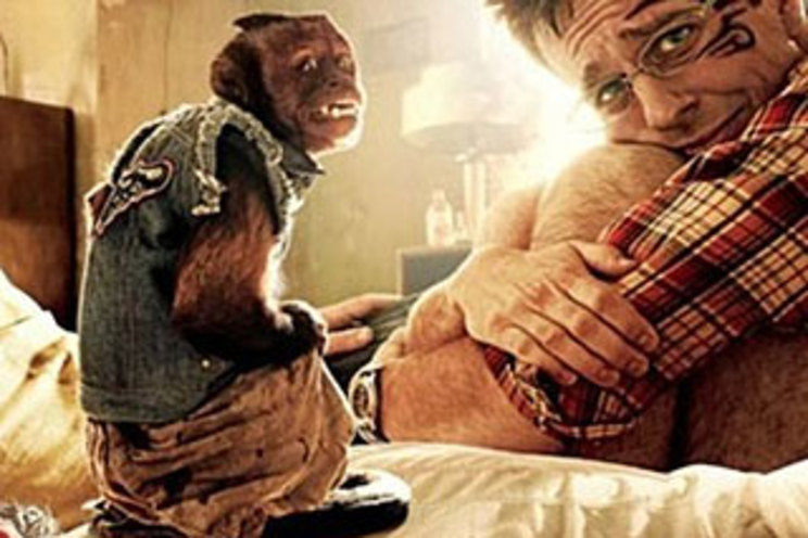 Hangover II monkey addicted to smoking: report