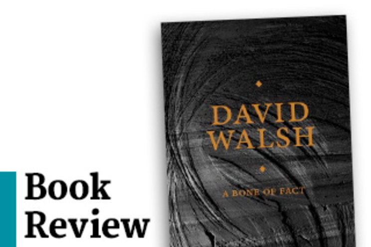 アート・デザイン・音楽 David Walsh A Bone of Fact A Bone of Fact – Mona Shop