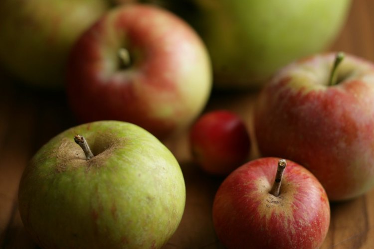 Apples. Ingredient detail pic. Generic still-life of different apple varieties. Brigitte Hafner AUTUMN recipes for Epicure. Photographed by Marina Oliphant. Styling by Caroline Velik.