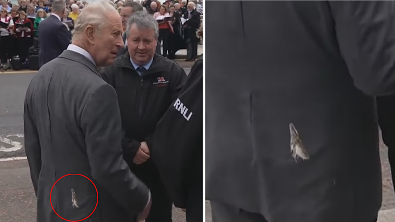Seagull leaves it’s mark on King Charles in Ireland