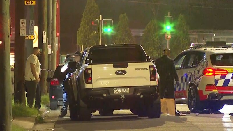 Two men hospitalised after being shot in an all-in brawl