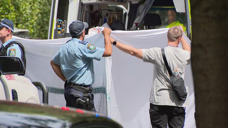 Armed man shot dead by police in Sydney after two women attacked in apartment