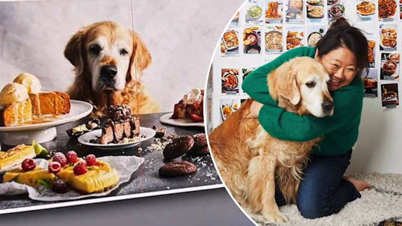 RecipeTin Eats founder shares the news Dozer has died