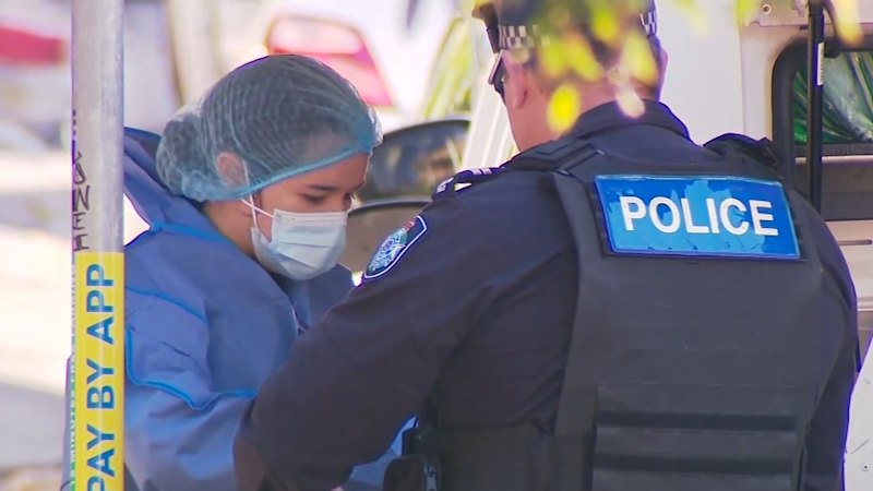 Charges laid after man dies in alleged park brawl
