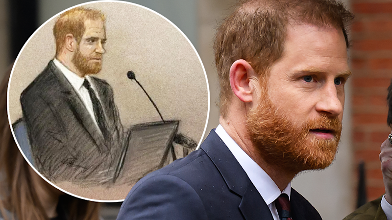 Prince Harry gives evidence in court