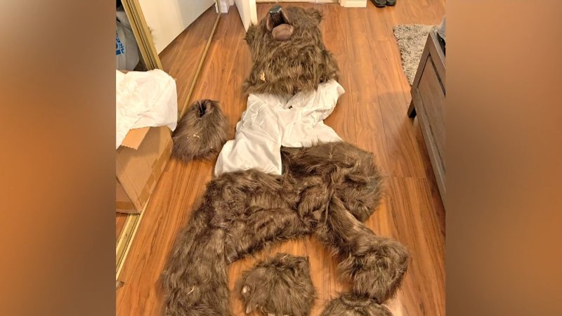 Trio sentenced for bear suit insurance scam