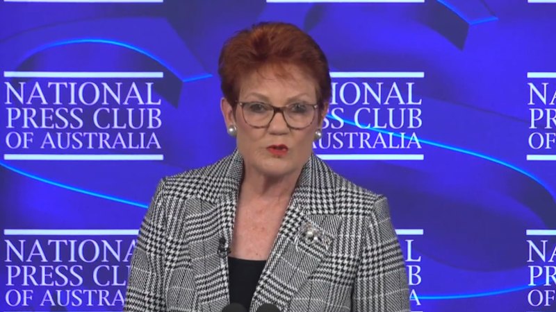 Will Hanson's fiery speech grow One Nation's base?