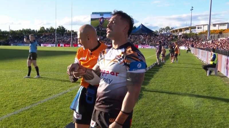 Injury woes mount for Tigers