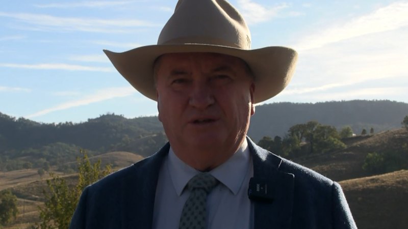 Barnaby Joyce says One Nation's success will 'grow' in future elections