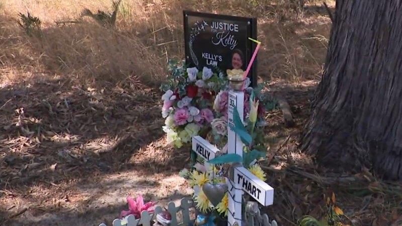 Drunk driver who left woman for dead sentenced to prison