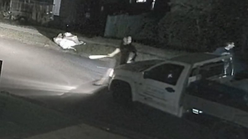 Vigilante who was jailed after trying to stop car thief granted bail