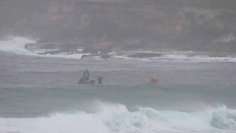 Search resumes for swimmer missing off Sydney beach