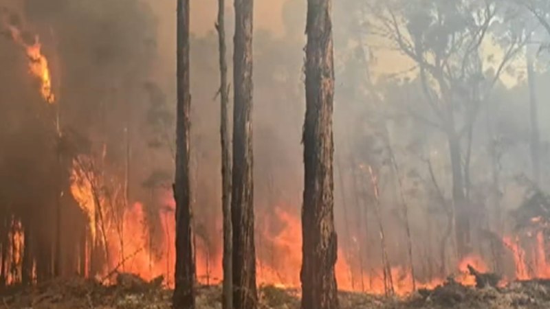 More than 1100 properties evacuated near Otways fire