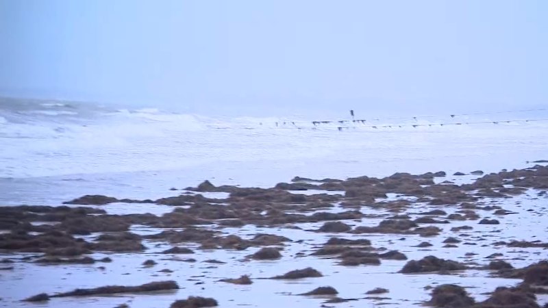 Tropical Cyclone Narelle edges closer to Queensland’s far north coast