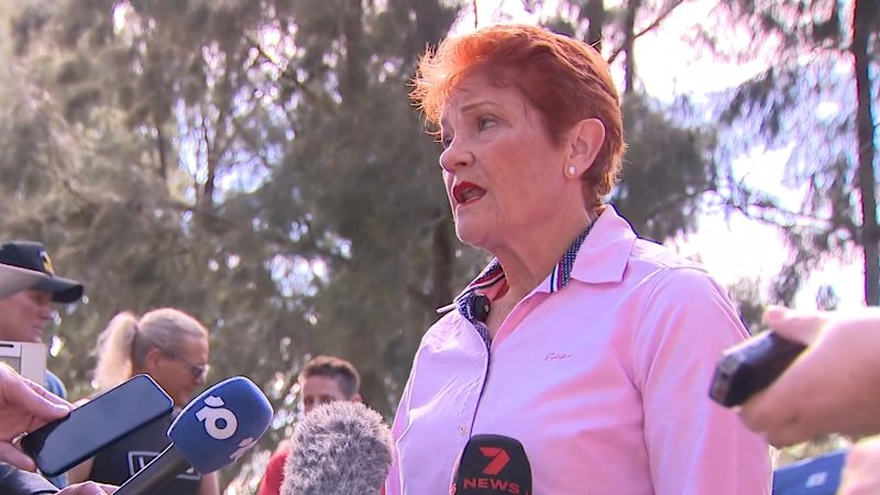 Albanese hits back at Hanson’s migrant call