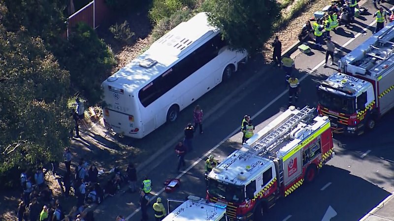 Bus carrying 40 students crashes into tree in Sydney's west