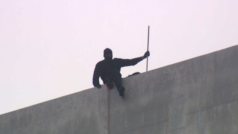 'Pam the Bird' graffiti artist charged