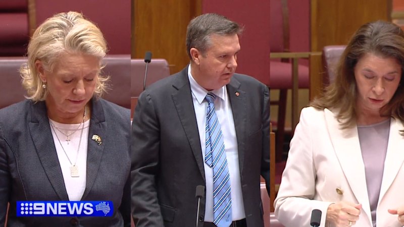 Multiple shadow ministers cross floor to vote against hate crime laws