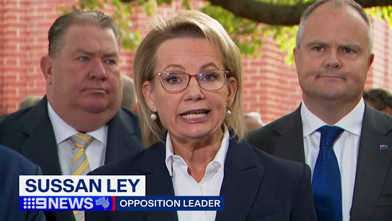 Crisis talks between Sussan Ley and David Littleproud fail to reunite the Coalition