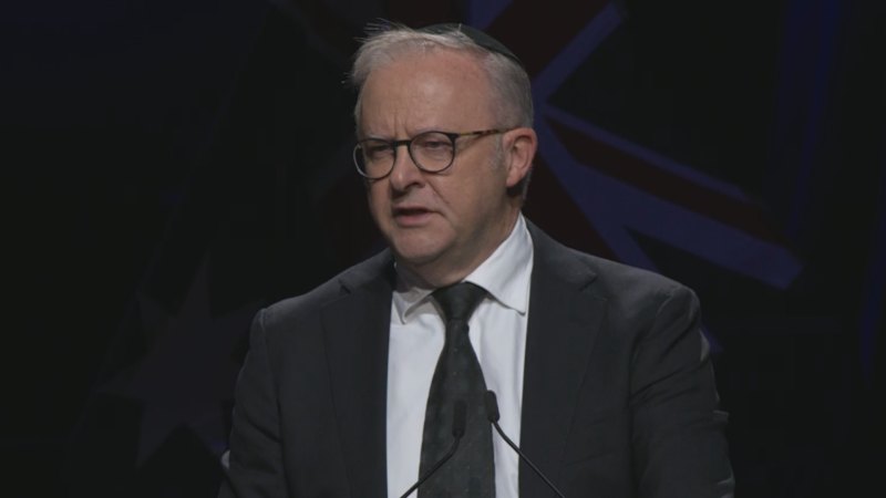 Anthony Albanese says sorry to Bondi attack victims