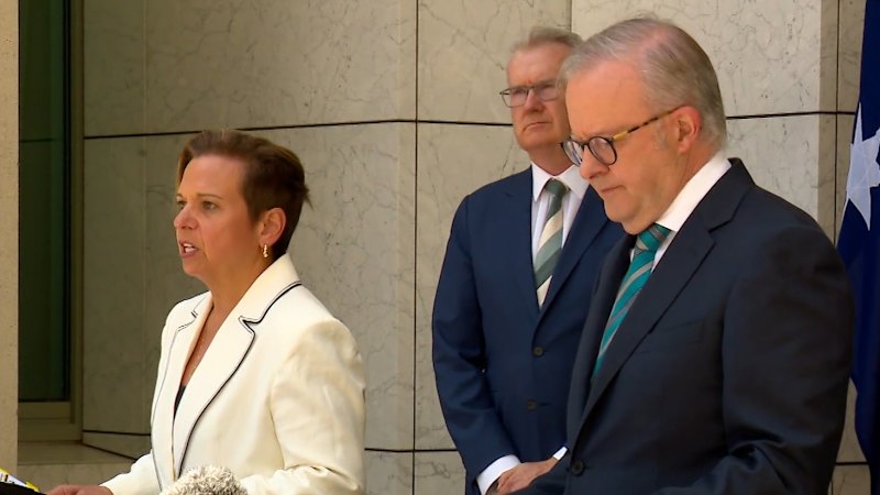 Minister says Hizb ut-Tahrir can be banned