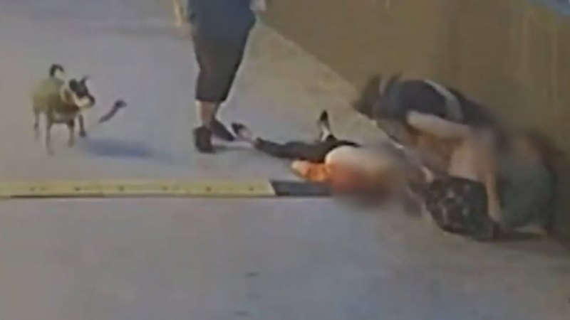 Woman almost dies during attack on Perth street