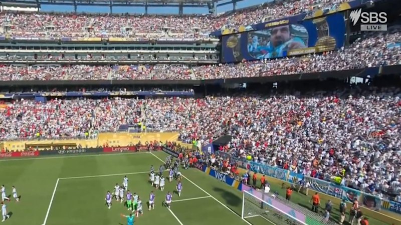FIFA's World Cup privatisation bid
