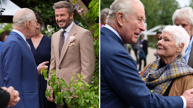 Royals and celebrities rub shoulders at Chelsea Flower Show