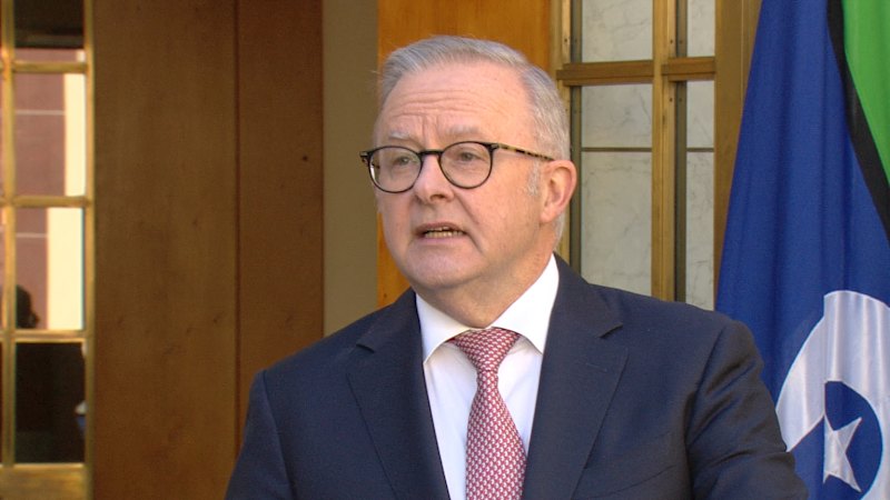 Fuel excise to be halved