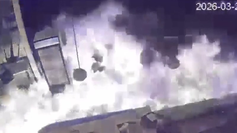 Teenager arrested over fire bitten by police dog in Melbourne