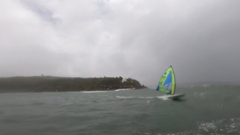 Shark attack warning for Sydney amid wet weather