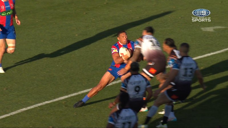 Tigers prop on report for high shot