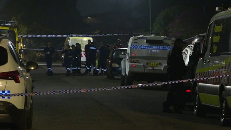 Man arrested after three killed in alleged attack in Sydney home