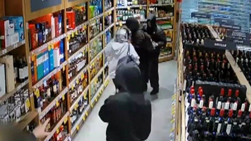 Senior cop hospitalised after alleged attack by teenage thieves